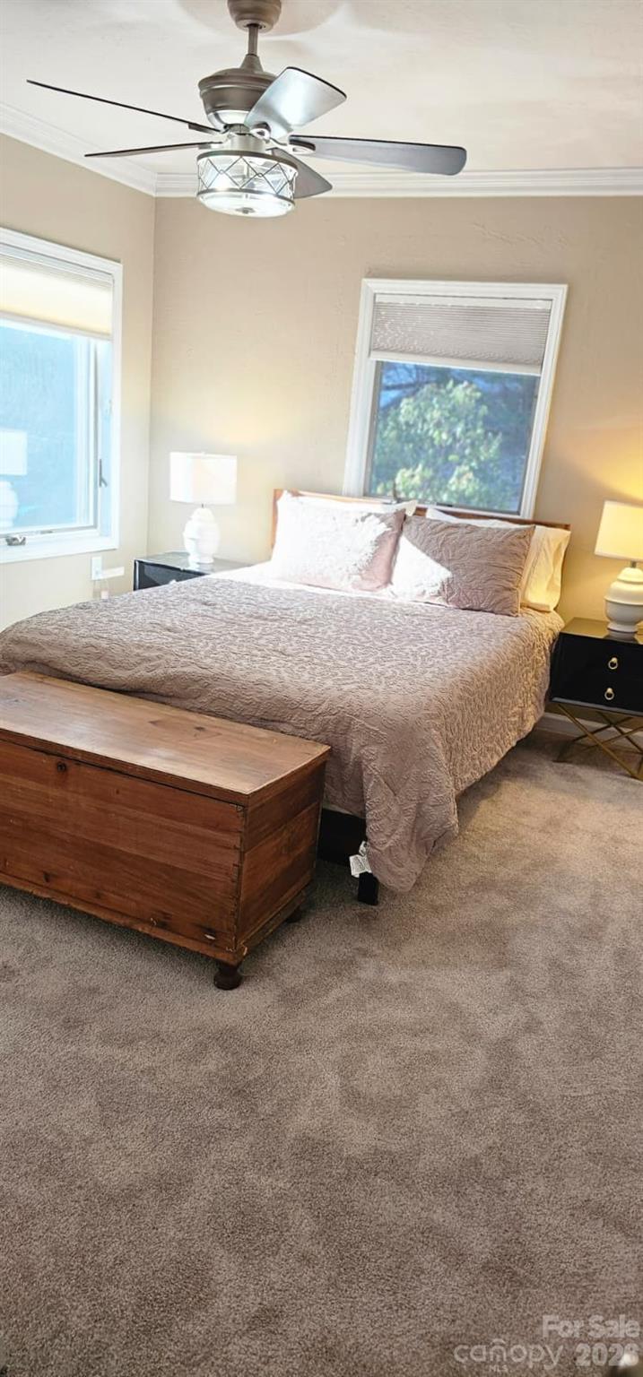 Pine Village - Residential