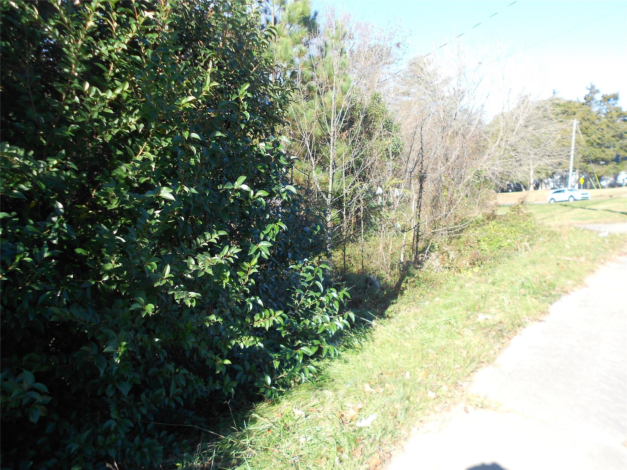 1009 N New Hope Road