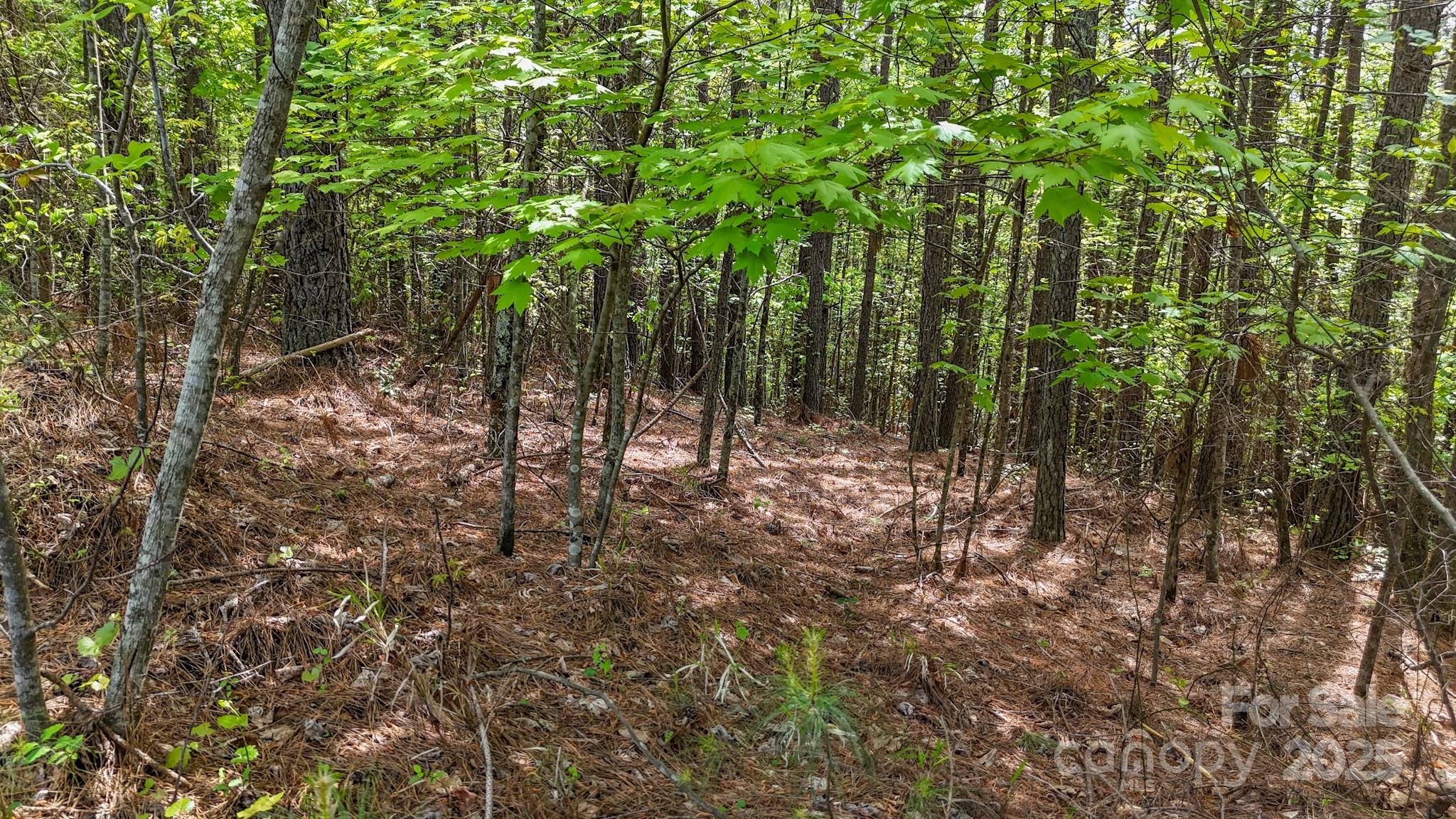 Lake Rhodhiss Estates - Land