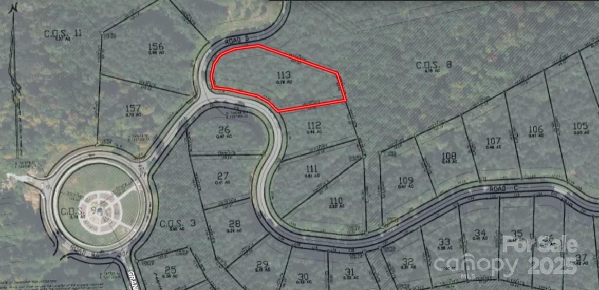 Lake Rhodhiss Estates - Land