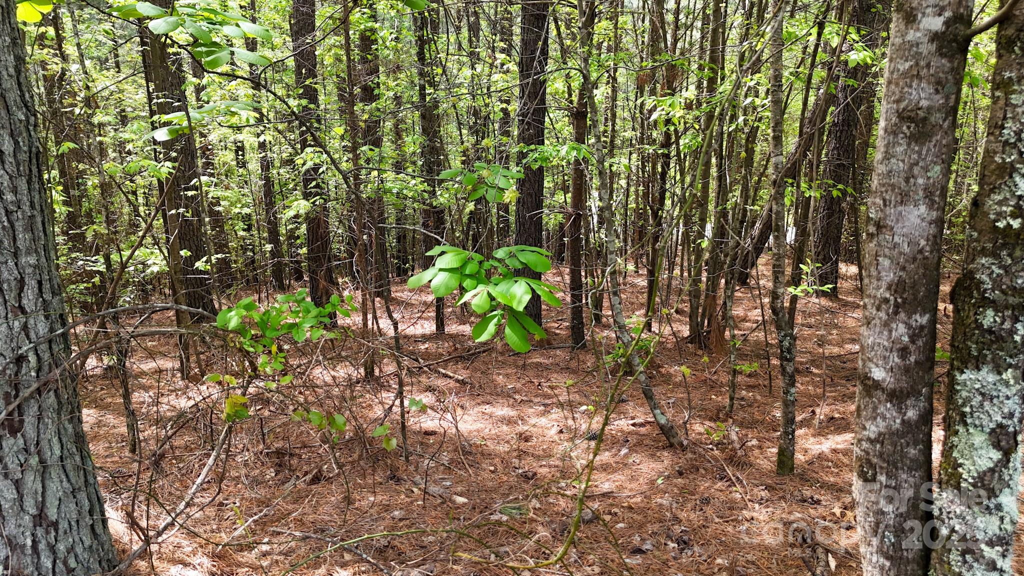 Lake Rhodhiss Estates - Land