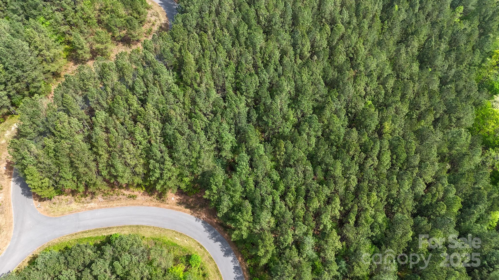 Lake Rhodhiss Estates - Land