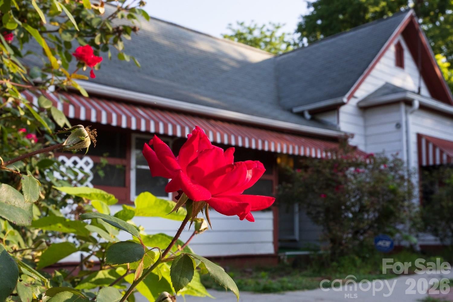 91 Clingman Avenue