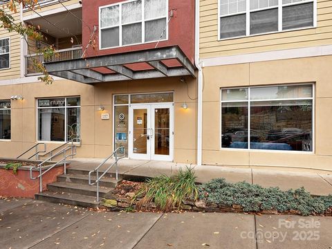 157 S Lexington Avenue Asheville NC 28801