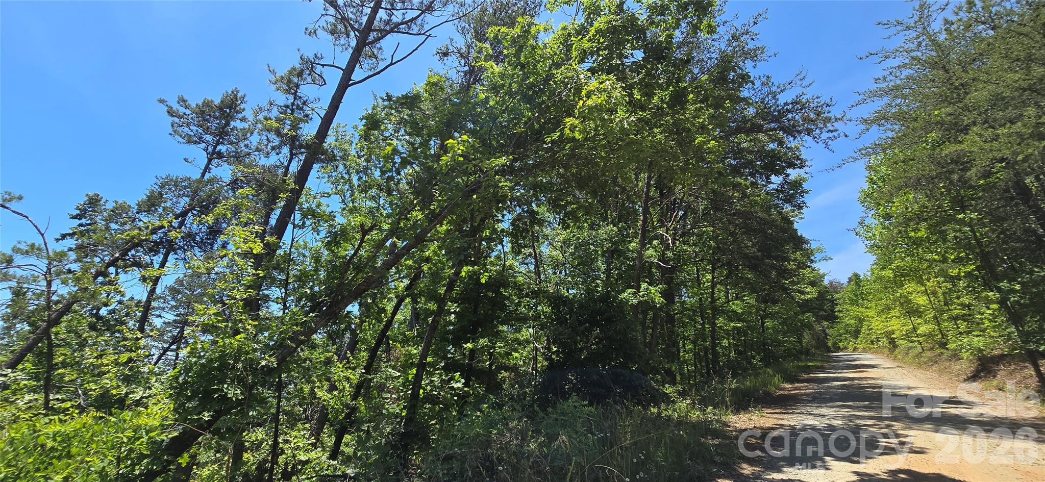 Pinnacle Ridge - Land
