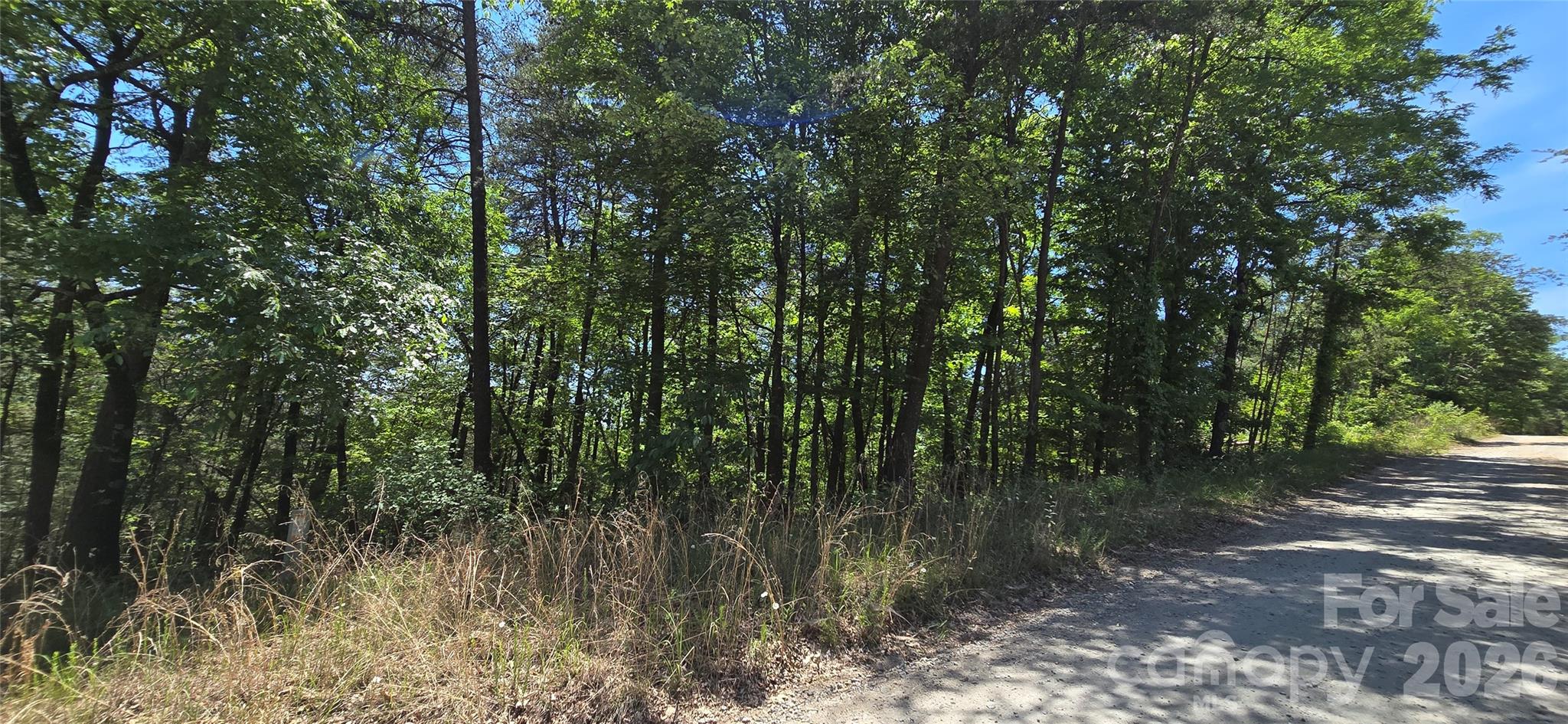 Pinnacle Ridge - Land