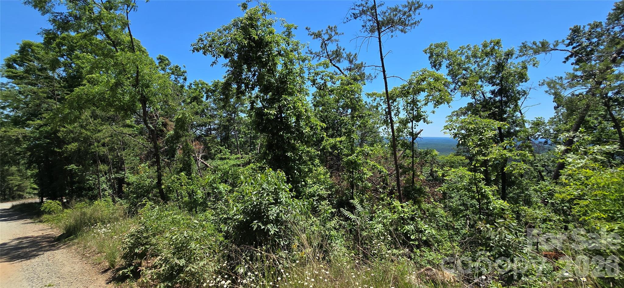 Pinnacle Ridge - Land