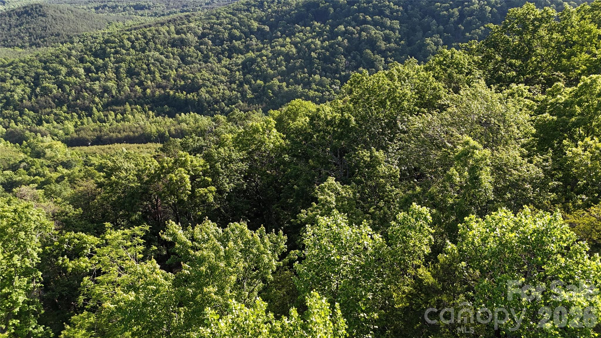Pinnacle Ridge - Land
