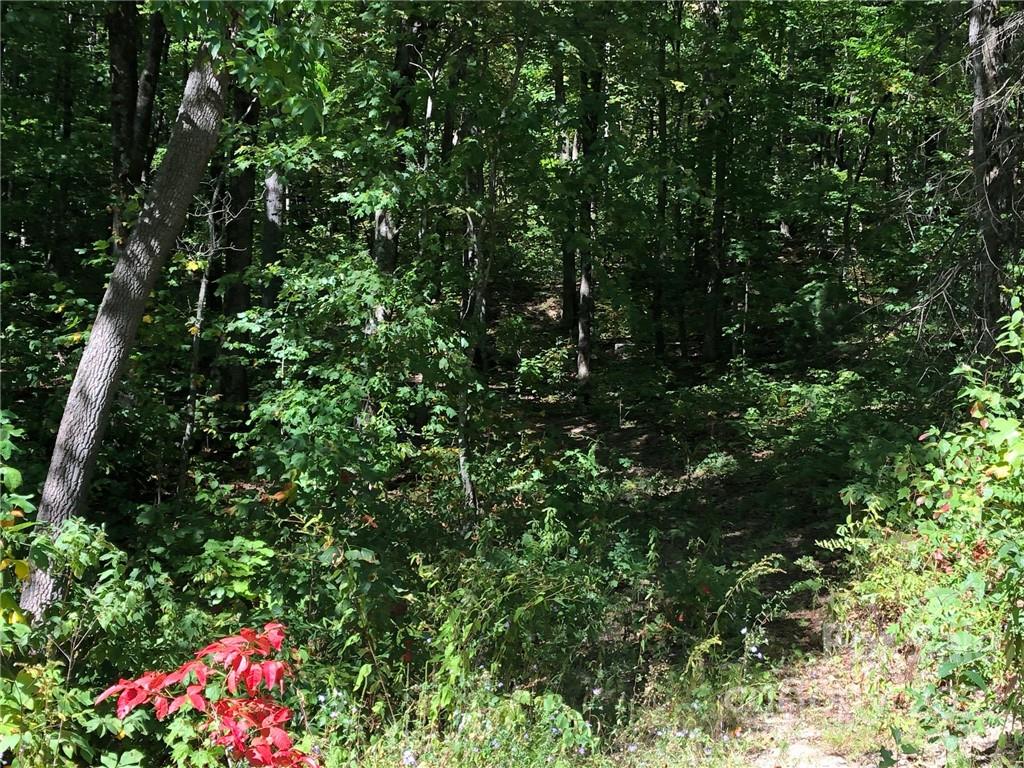 Lot #69 and 69A Marshall Ridge Road