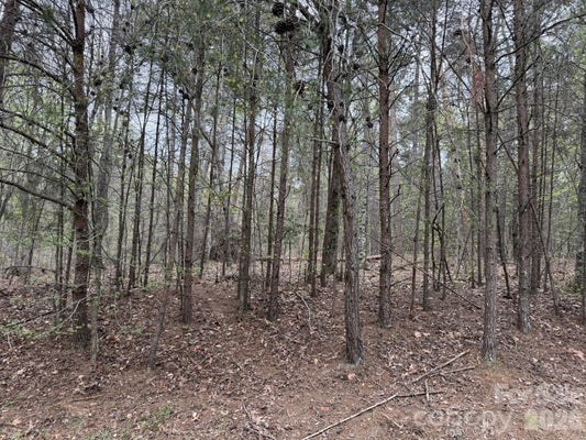 WHISPER LAKE DR, NEW LONDON, NC 28127 - Image 4e3c4e0e859fbc02f545b2c4cdb20312/933024471