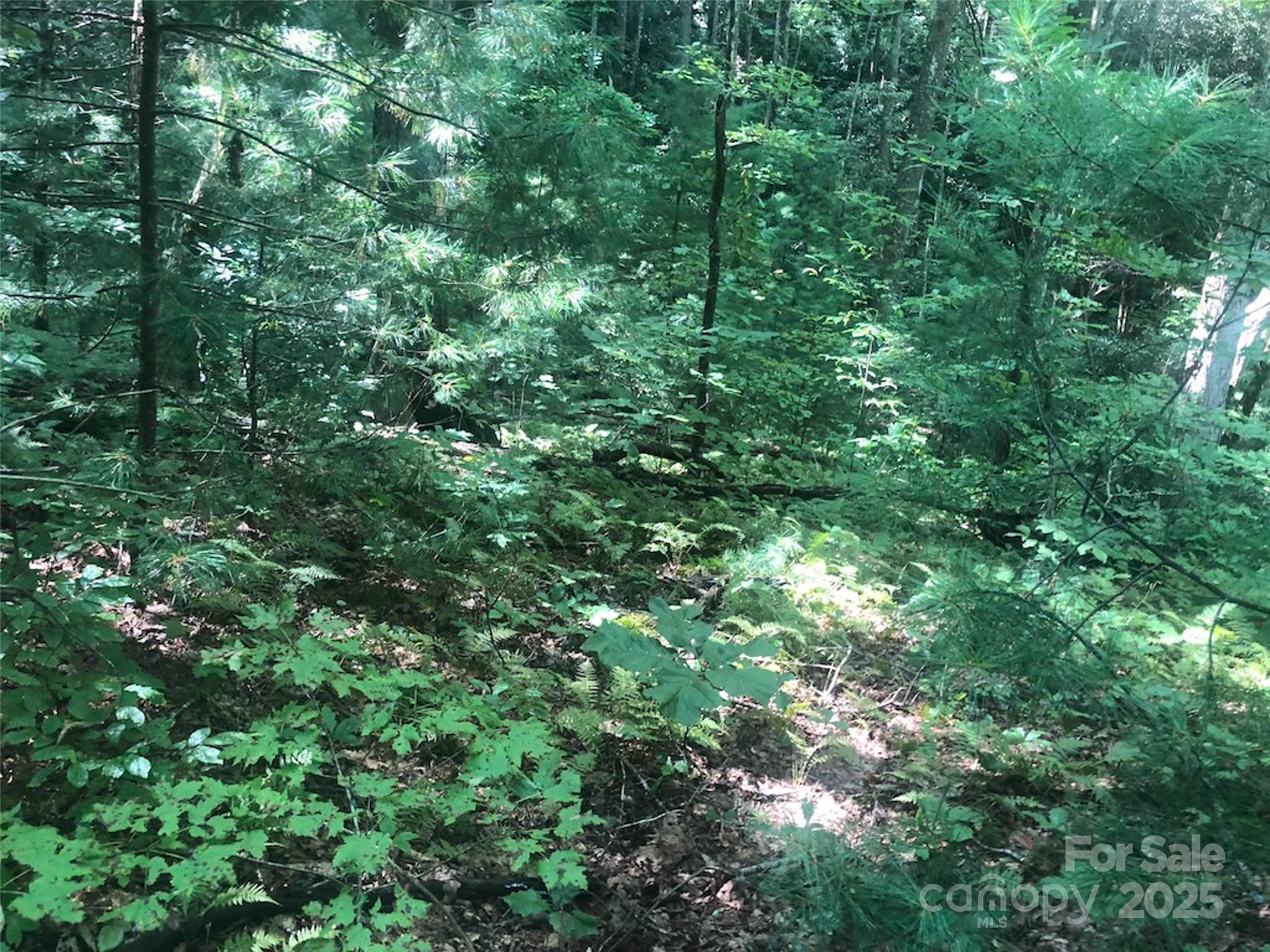 TBD Peppervine Circle 94