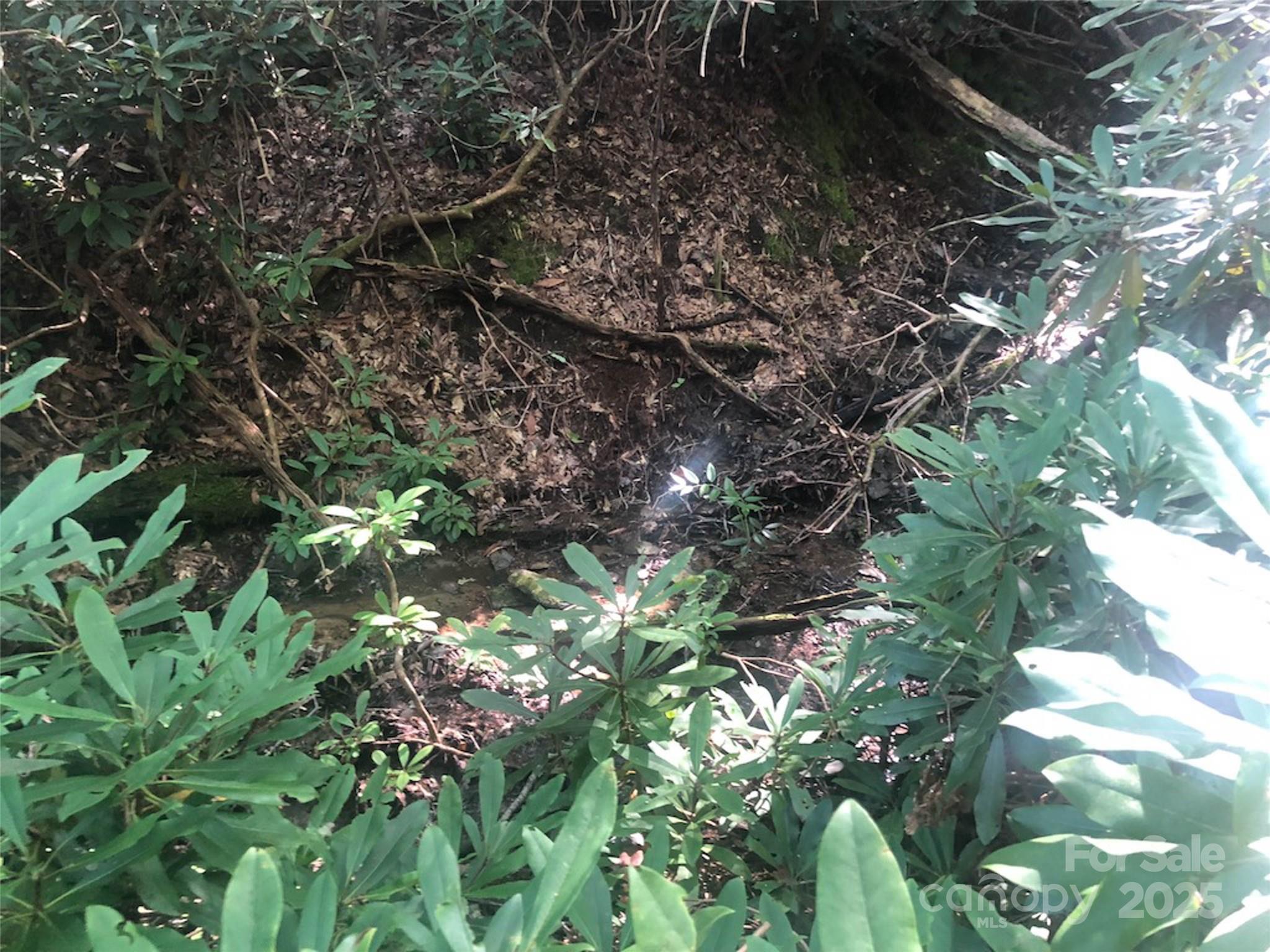 Round Mountain Falls - Land