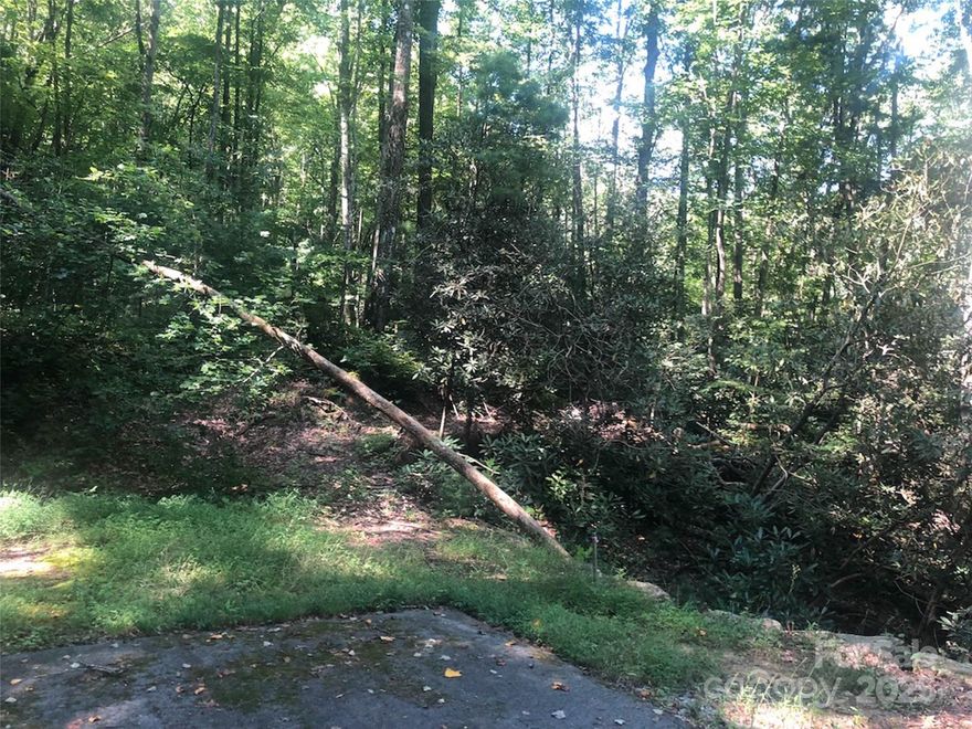 Discover this gently sloping homesite nestled at the end of a quiet cul-de-sac, bordered by two picturesque creeks. Located in the private community of Round Mountain Falls in Rosman, NC, this property offers a rare opportunity to live amidst unparalleled natural beauty. Known for its cascading waterfalls, breathtaking long-range mountain views, and pristine surroundings, this community is a true gem in Transylvania County, often called “The Land of Waterfalls.” Round Mountain Falls is home to multiple preserved waterfalls, including the stunning 35-foot Abby Falls, complete with a refreshing plunge pool perfect for swimming. Residents also enjoy a variety of amenities, such as an open-air mountain lodge, a stone fire pit, trout fishing, hiking trails, creekside parks, and more. Embrace the serenity and outdoor adventures that await in this exceptional mountain retreat.