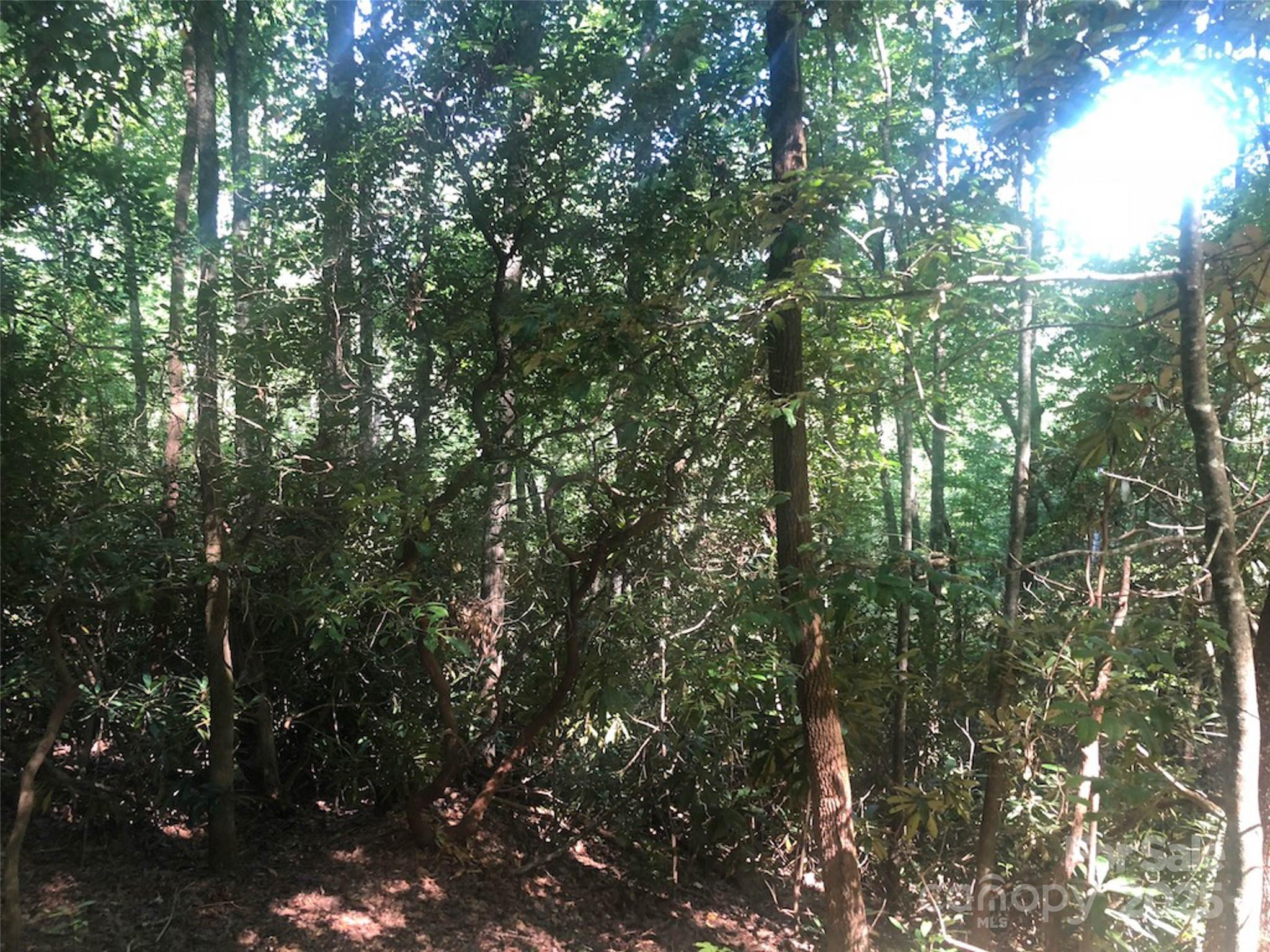 Round Mountain Falls - Land