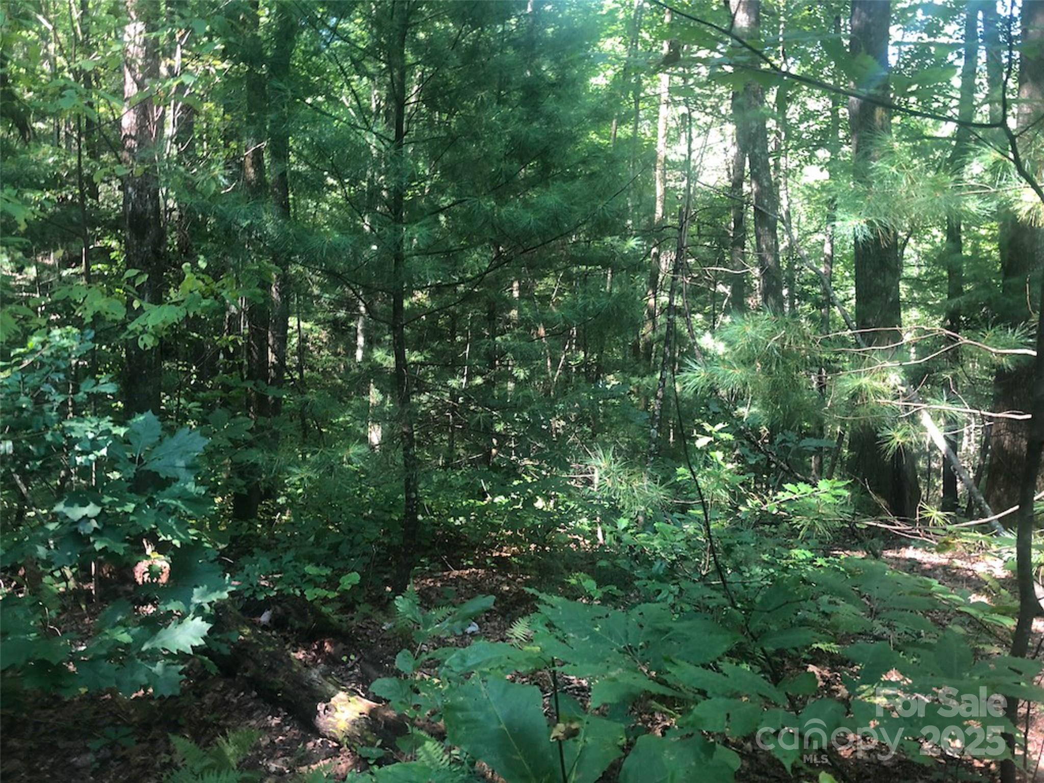 TBD Peppervine Circle 94