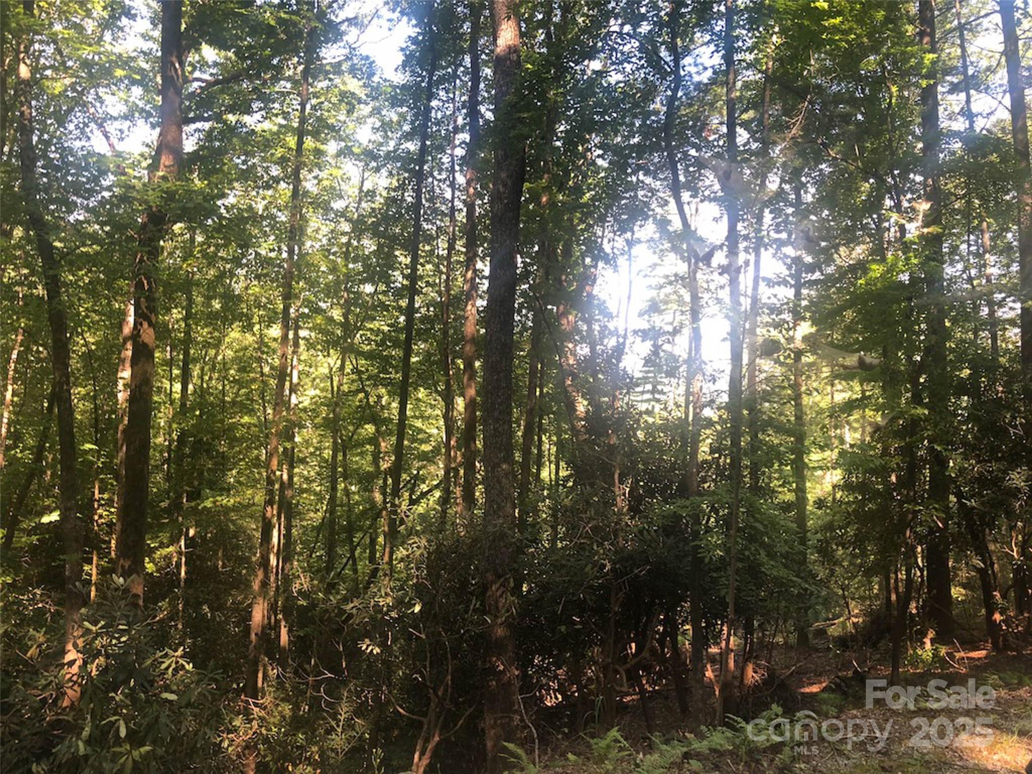 TBD Peppervine Circle 94