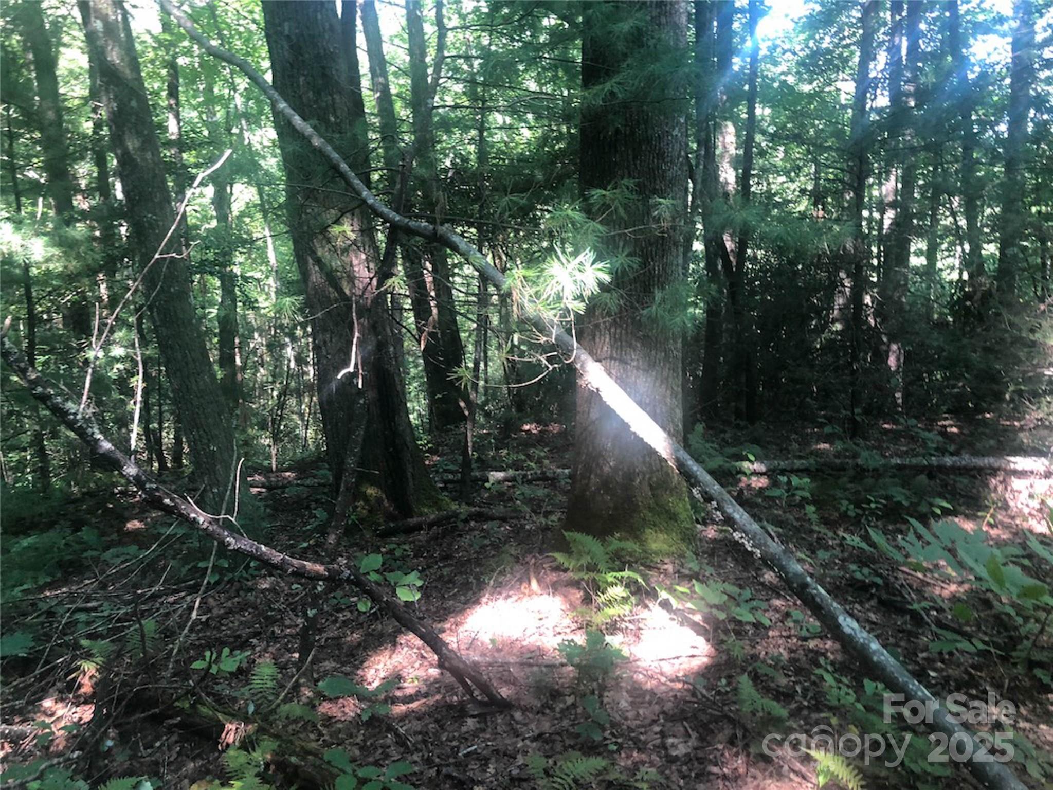 TBD Peppervine Circle 94