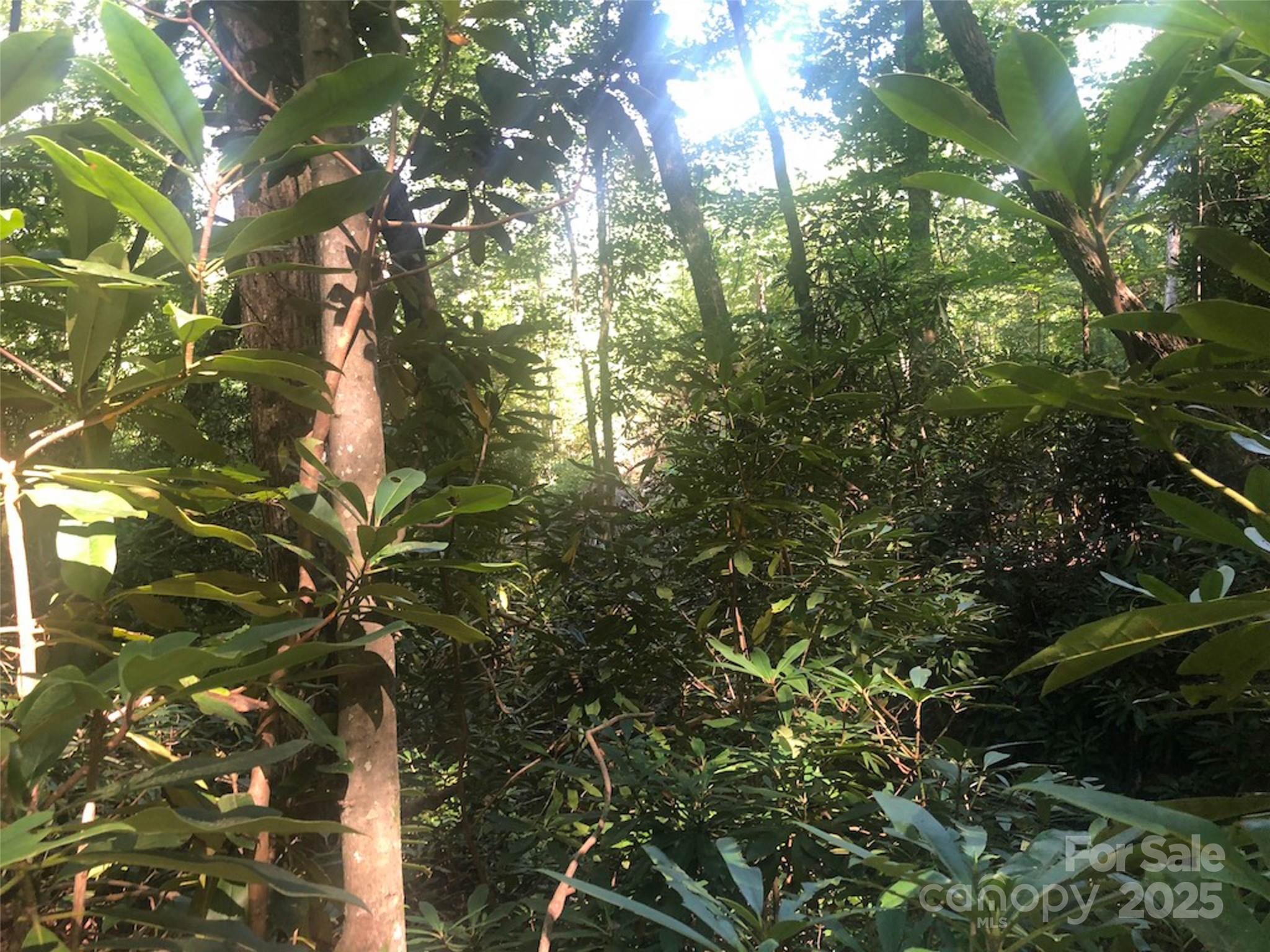 Round Mountain Falls - Land