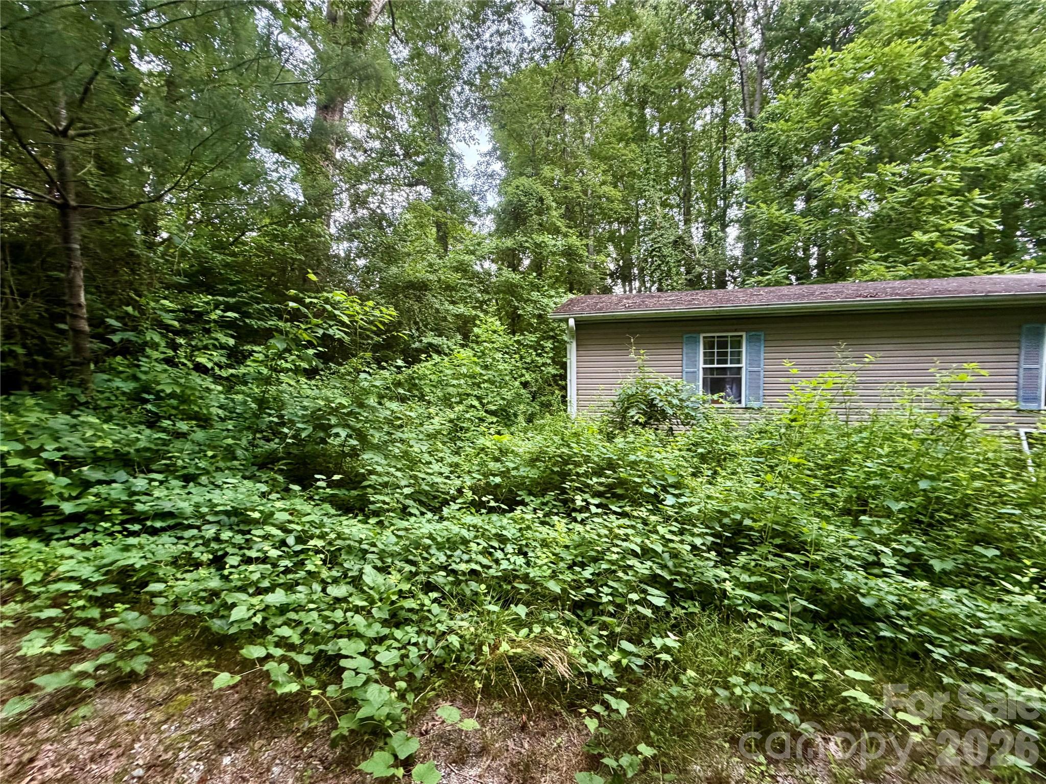 549 Caribou Road
