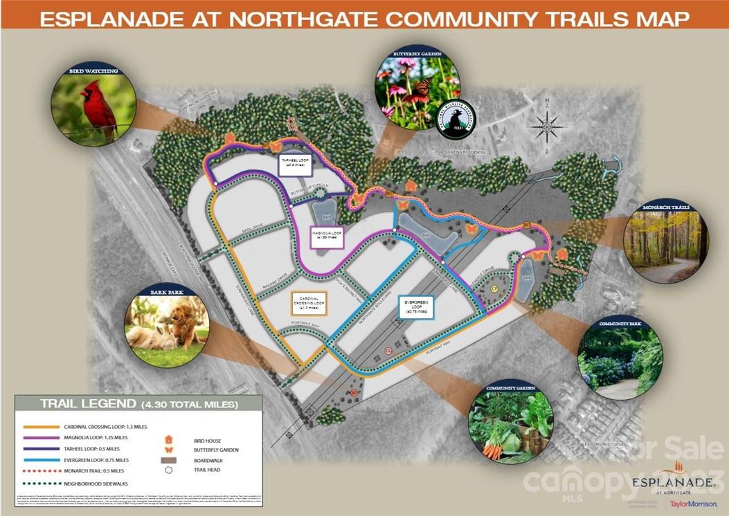 Esplanade at Northgate - Residential