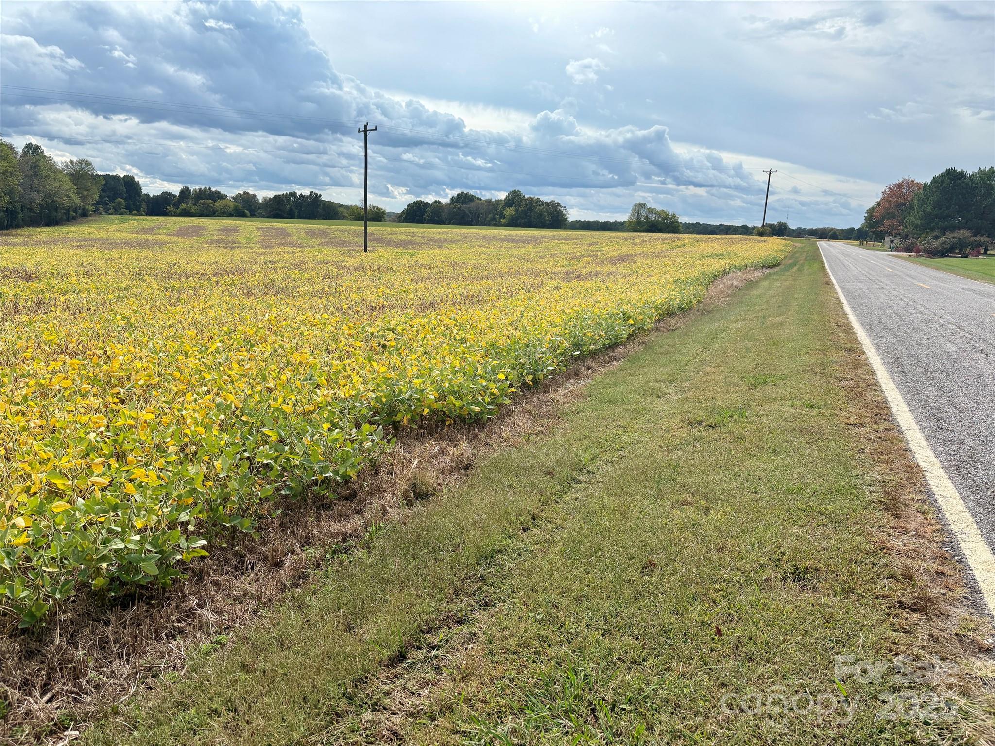 8.5 ac Williamsburg Road