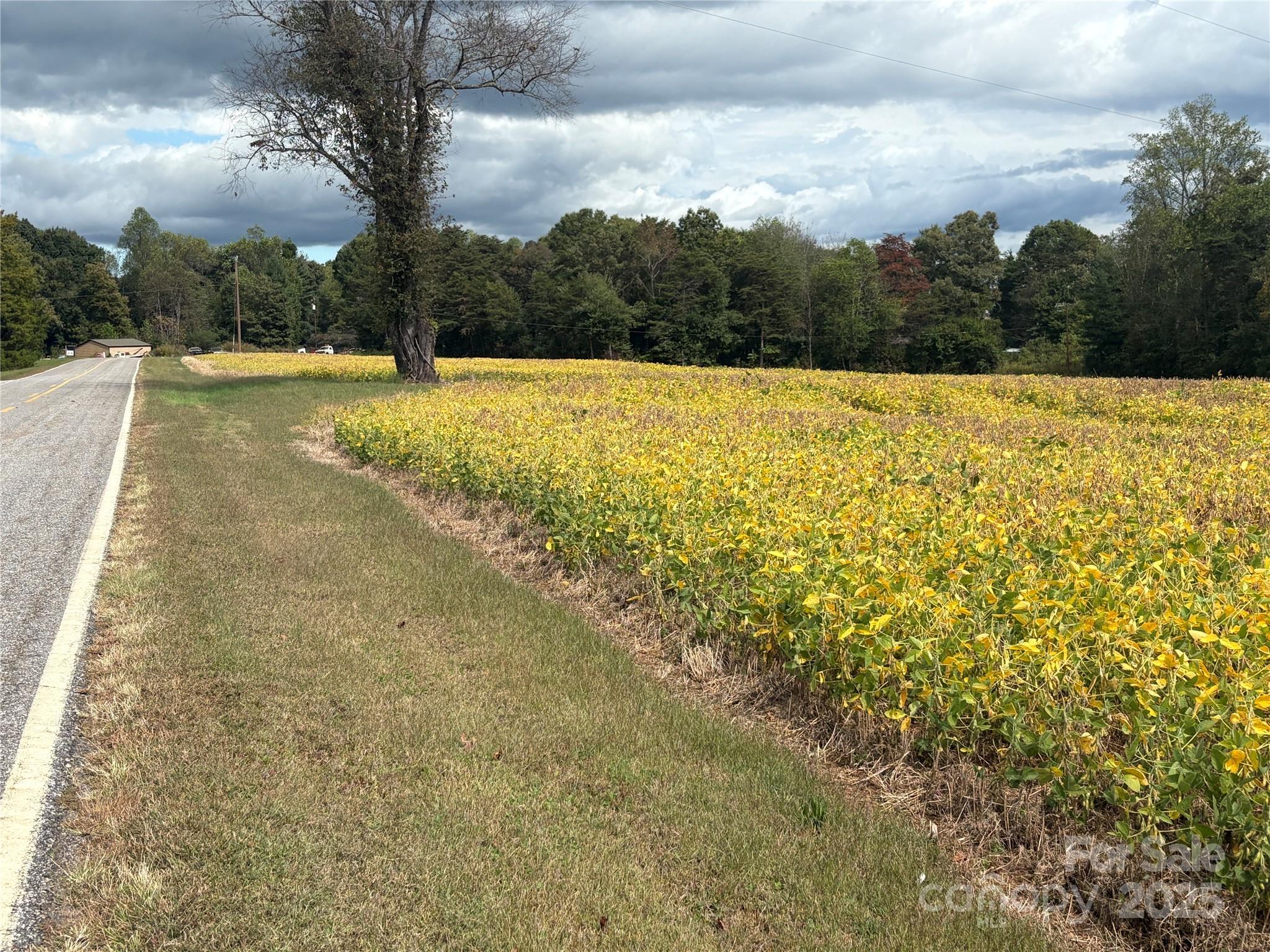 8.5 ac Williamsburg Road