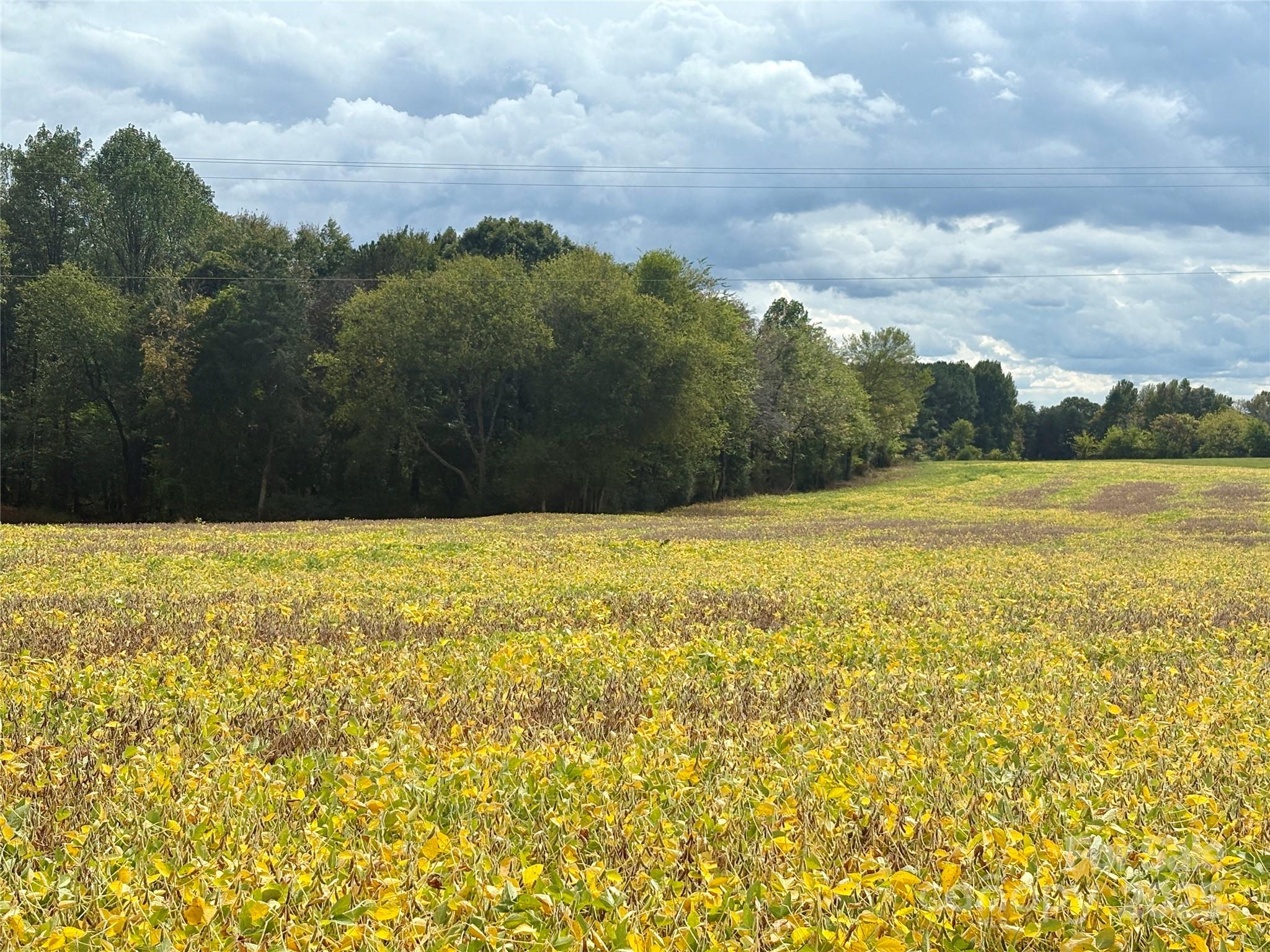 8.5 ac Williamsburg Road