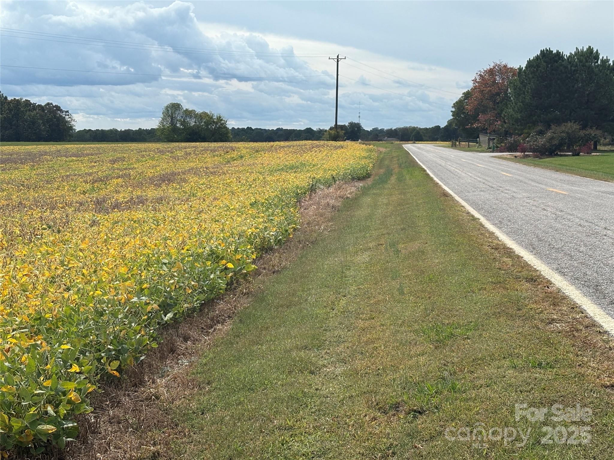 8.5 ac Williamsburg Road