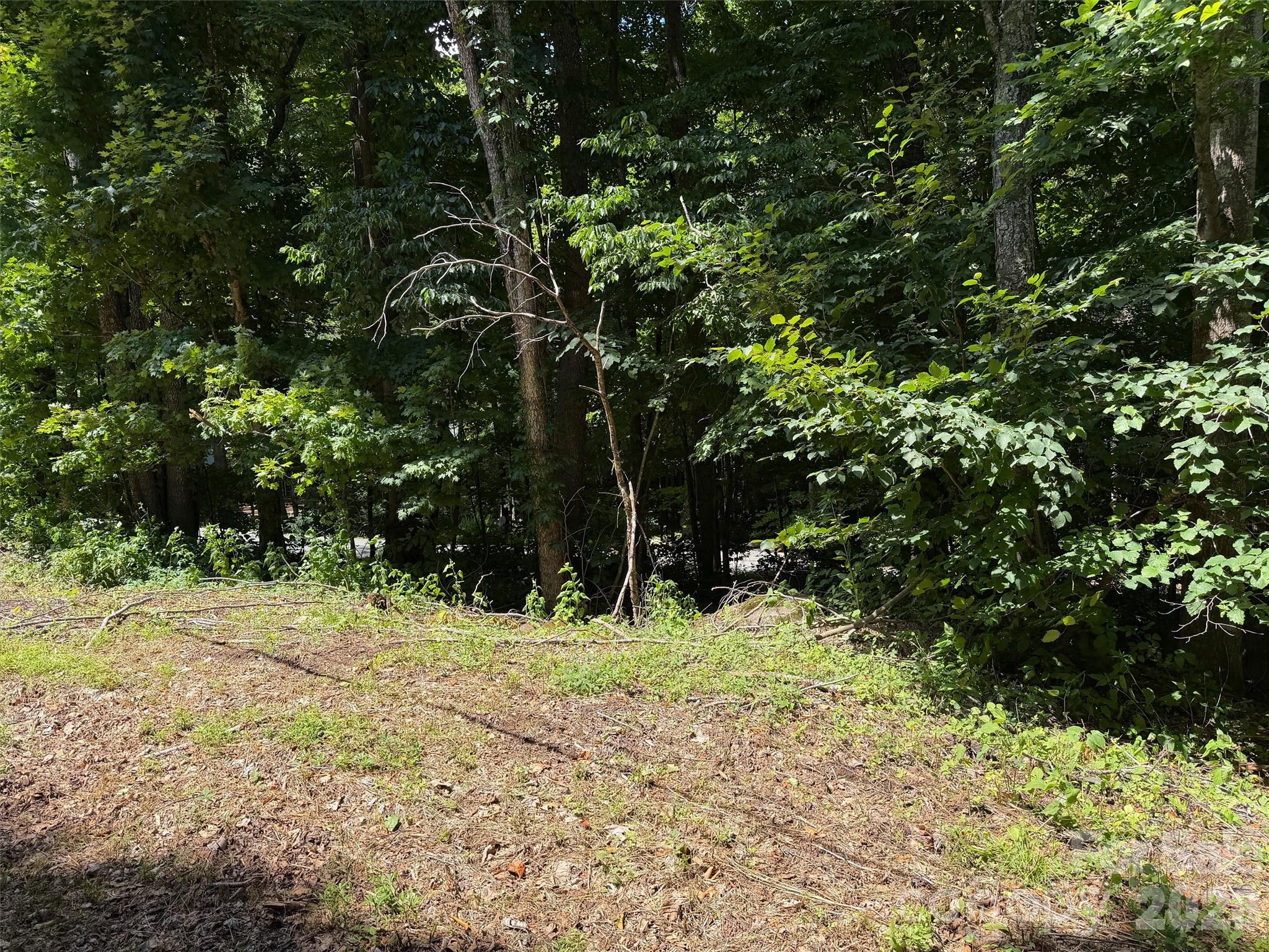 0 Serenity Mountain Road 108