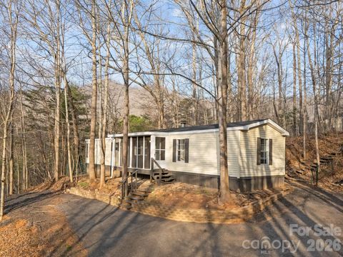 Photo of 19 Kayce Drive, Candler, NC 28715 (MLS # 4365336)