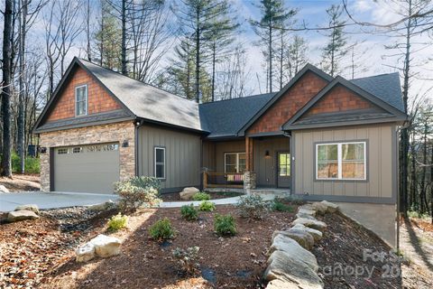 1217 Ugugu Drive Brevard NC 28712