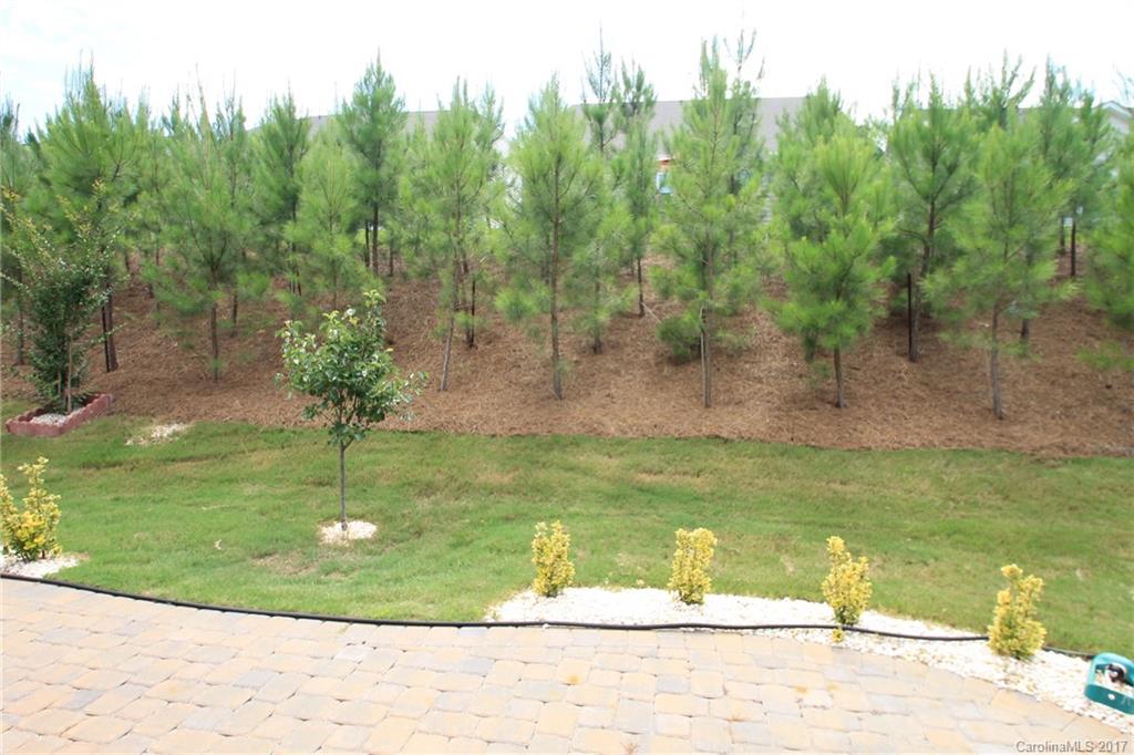 Carolina Reserve - Residential