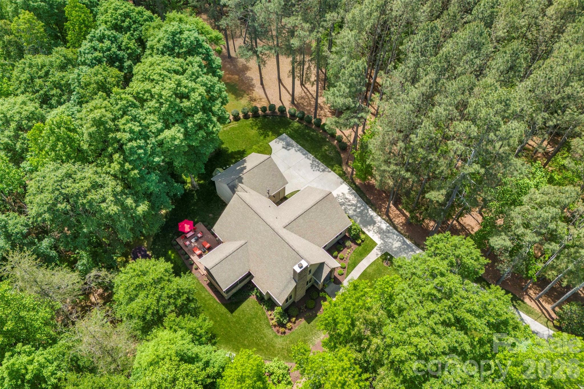 Pine Forest - Residential