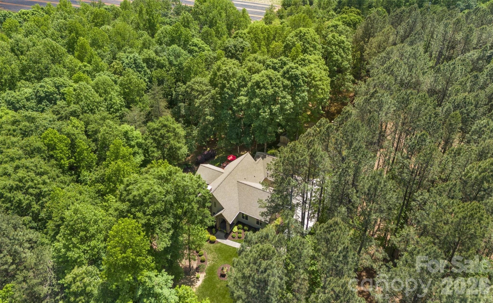 Pine Forest - Residential