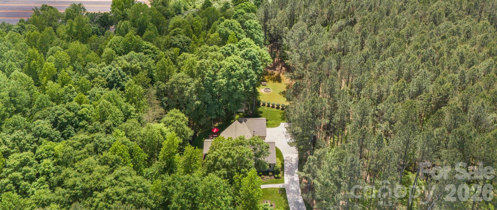 Pine Forest - Residential