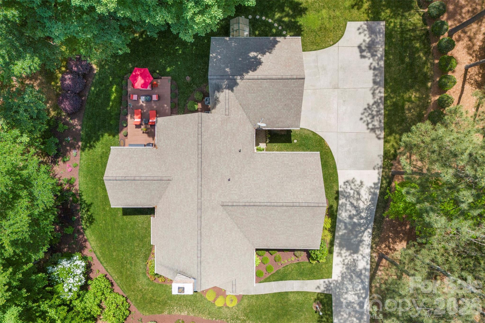 Pine Forest - Residential