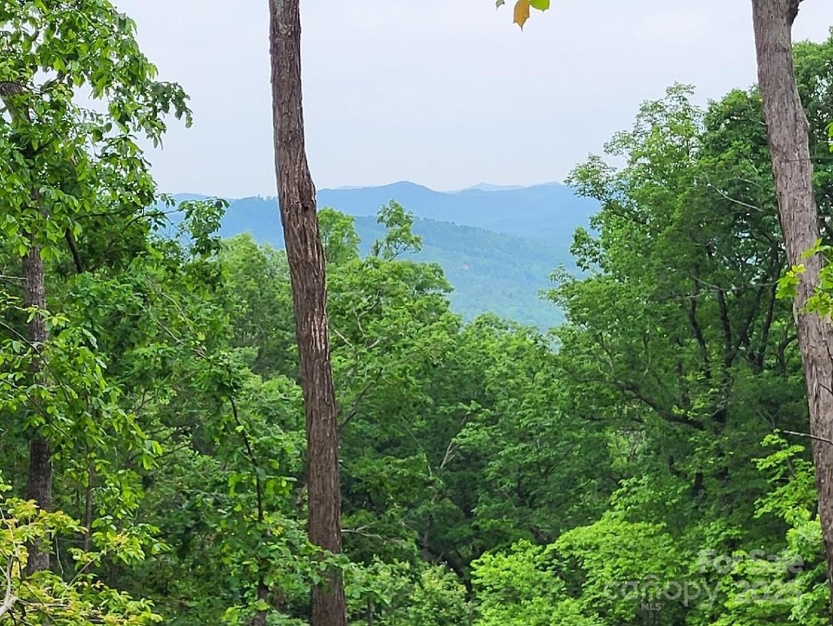 Lot 45 Ridgecrest Drive