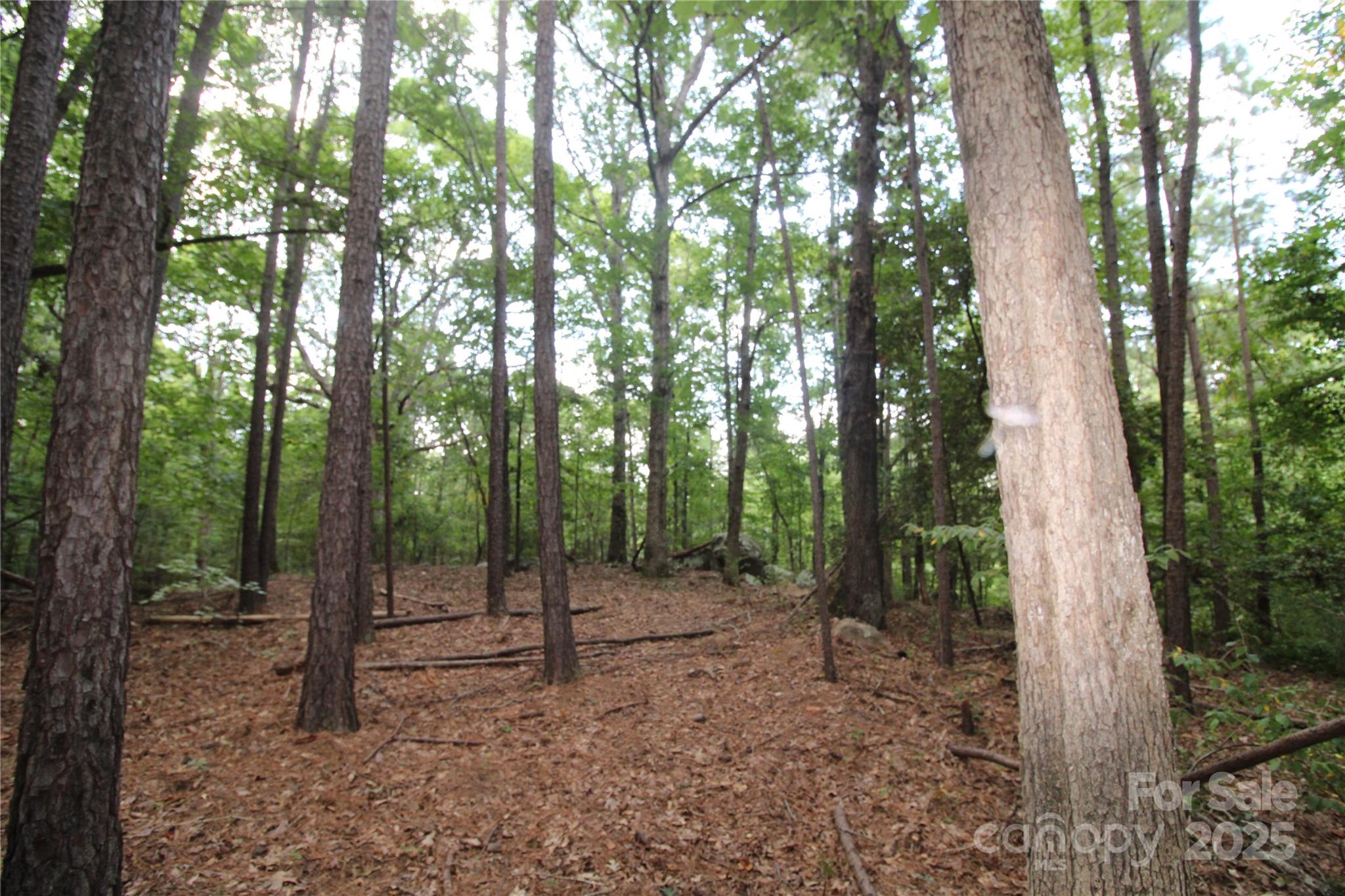 Lot 4 Lake Wylie Drive