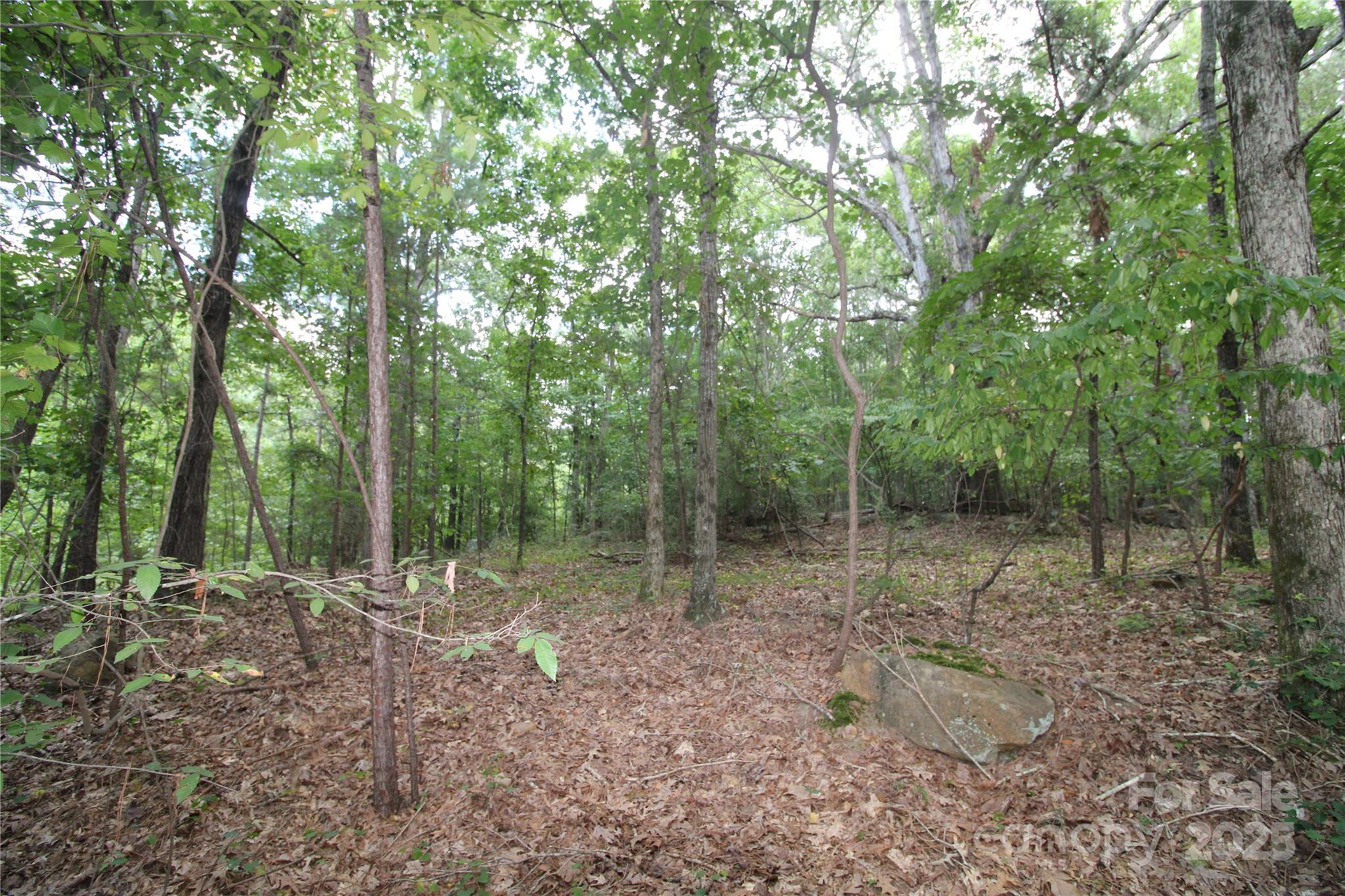 Lot 4 Lake Wylie Drive