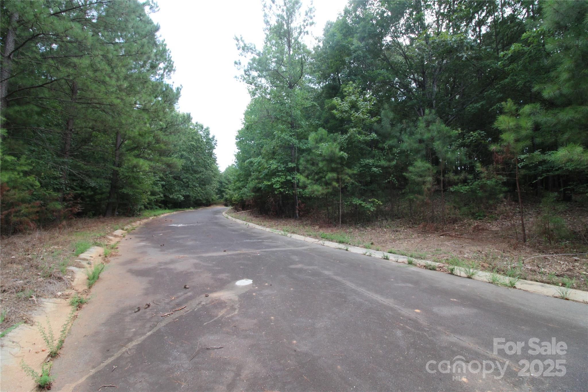 Lot 4 Lake Wylie Drive