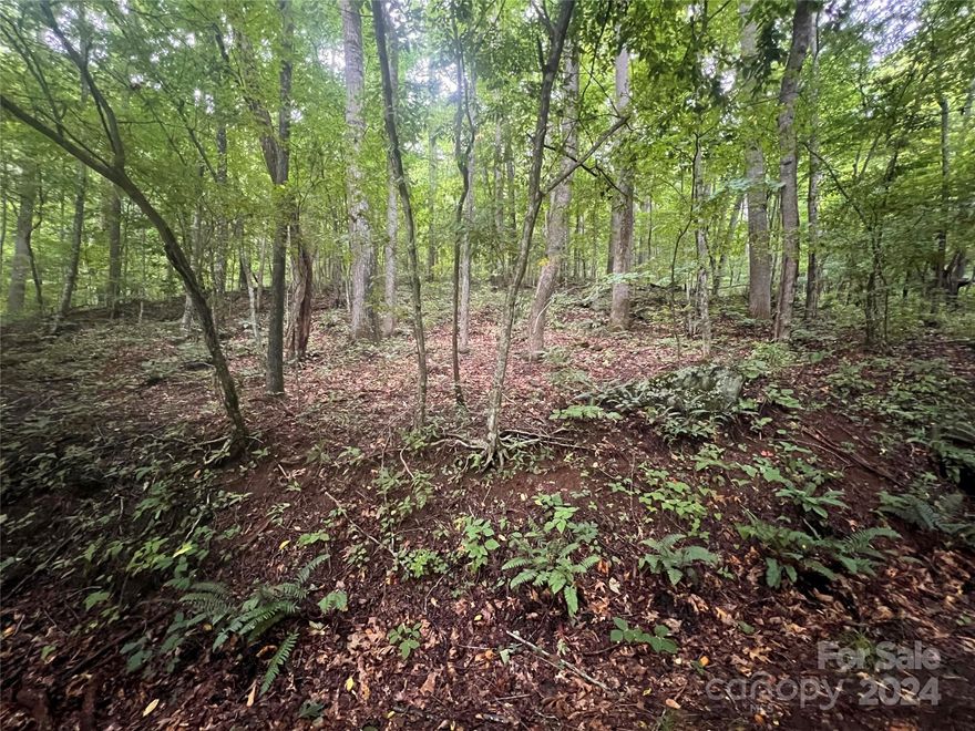 Build your dream home in Springdale Estates.  Large lot directly across from primary creek running through Springdale Resort Golf Course.