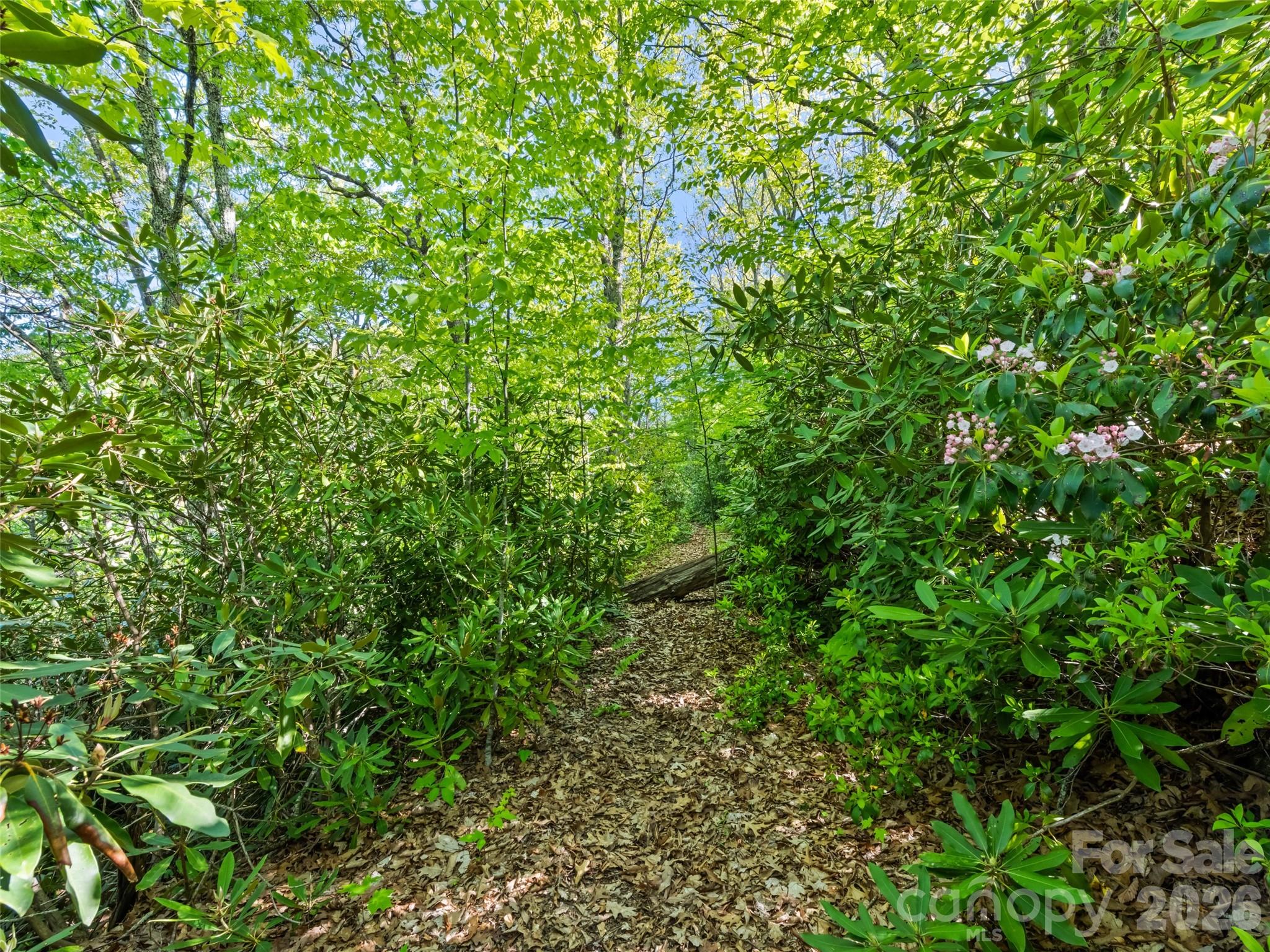 #19 Sleepy Hollow Lane