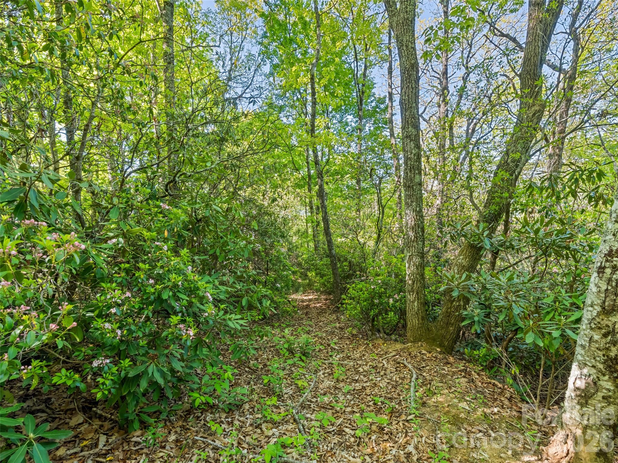 #19 Sleepy Hollow Lane