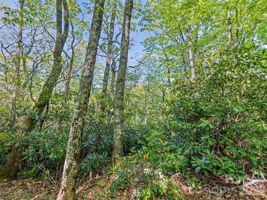 Discover the beauty of mountain living with this wooded lot nestled in the highly sought after Plott Creek area. Surrounded by the natural beauty of Western North Carolina, this property offers the perfect setting for your mountain getaway or future dream home. Conveniently located just minutes from Downtown Waynesville dining, shopping, and outdoor recreation.