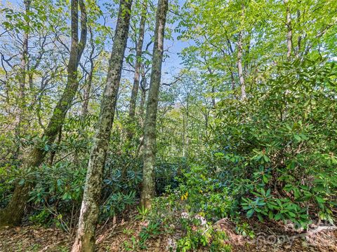 #19 Sleepy Hollow Lane Waynesville NC 28786