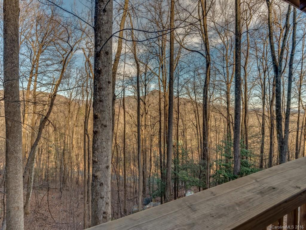 Rumbling Bald on Lake Lure - Residential