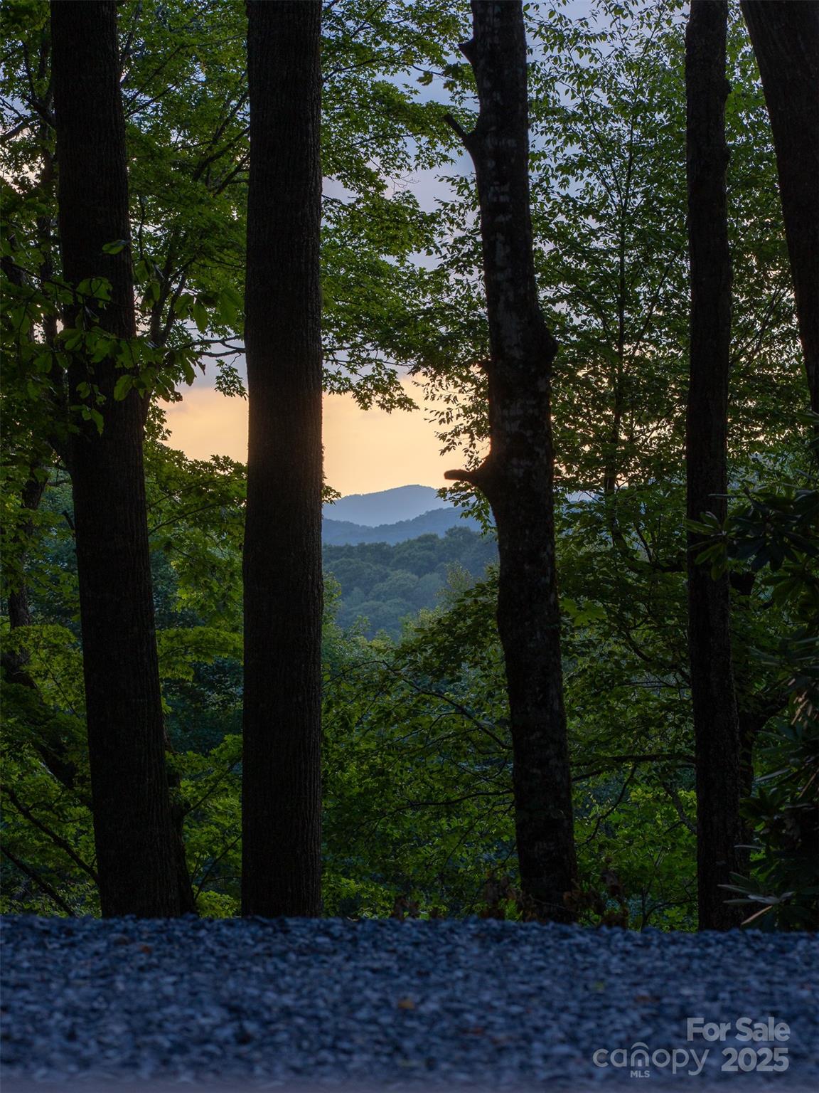 Wolf Laurel - Residential