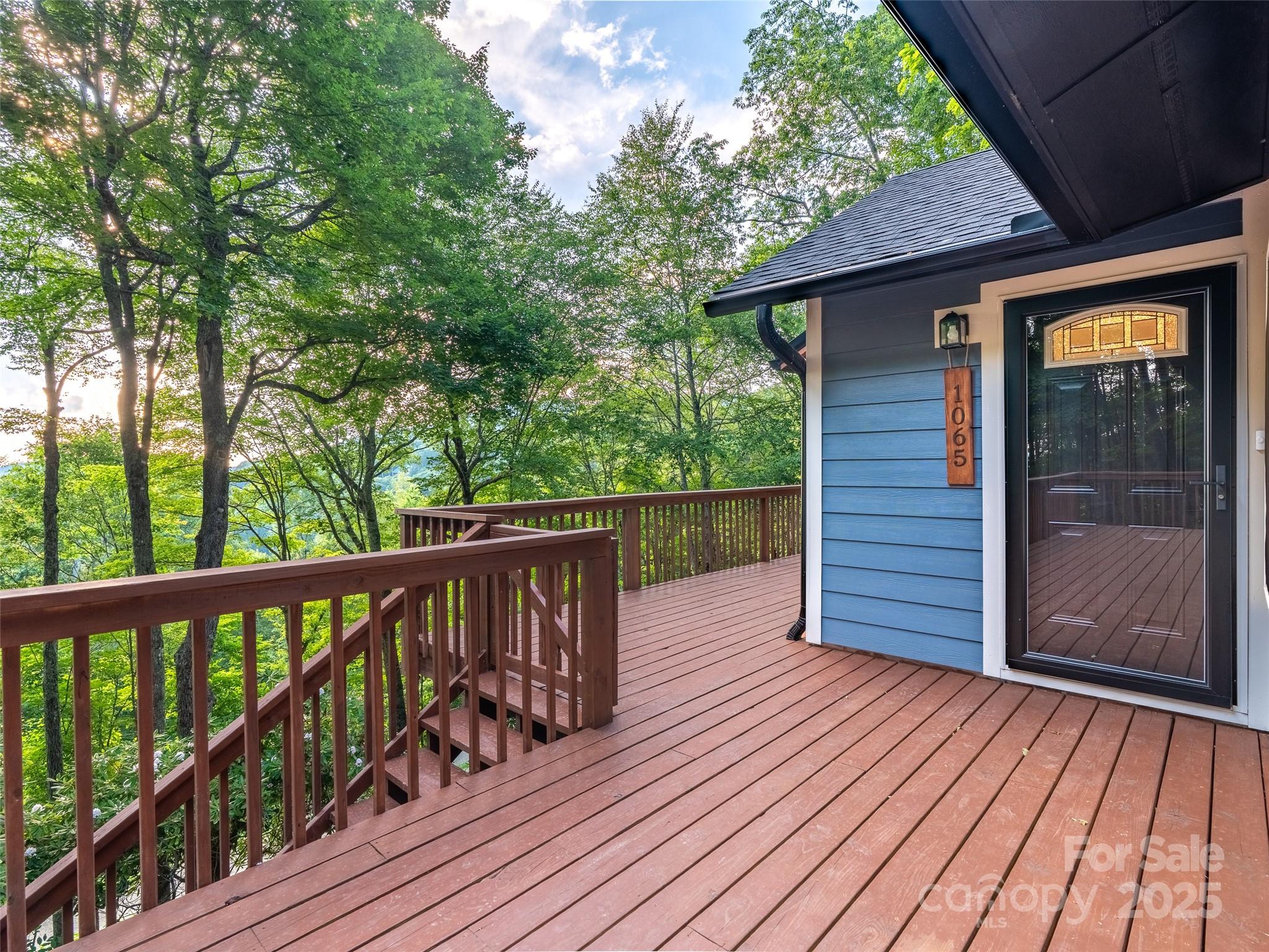 Wolf Laurel - Residential