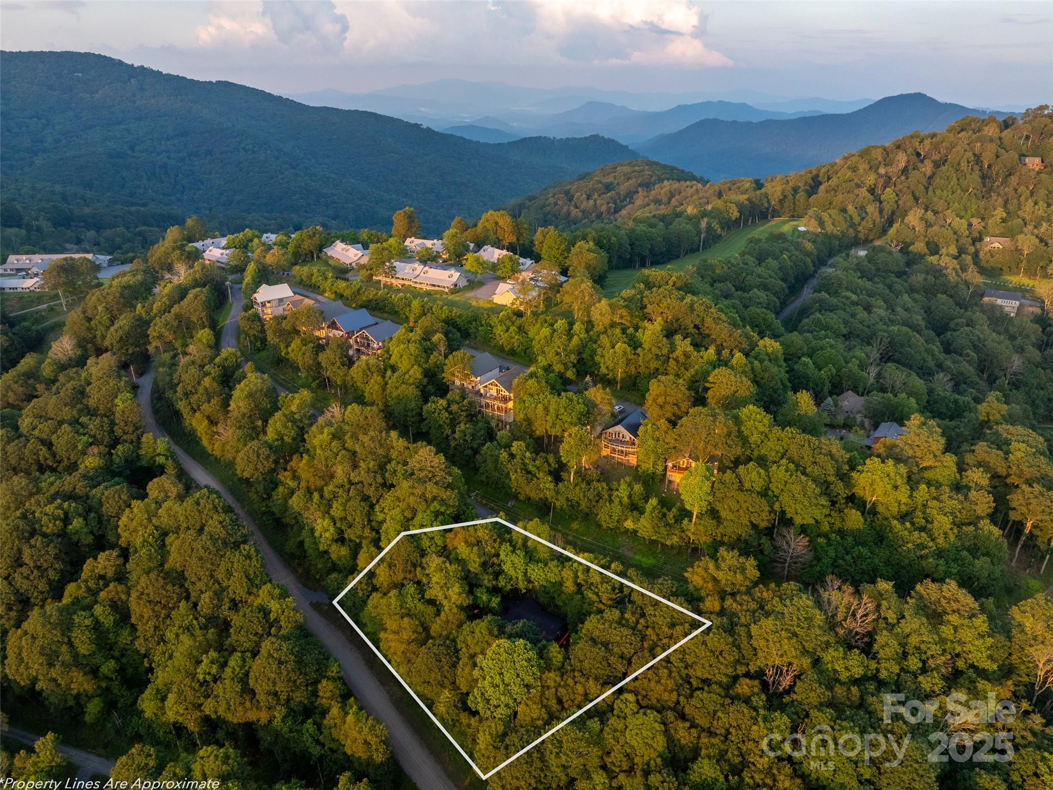 Wolf Laurel - Residential