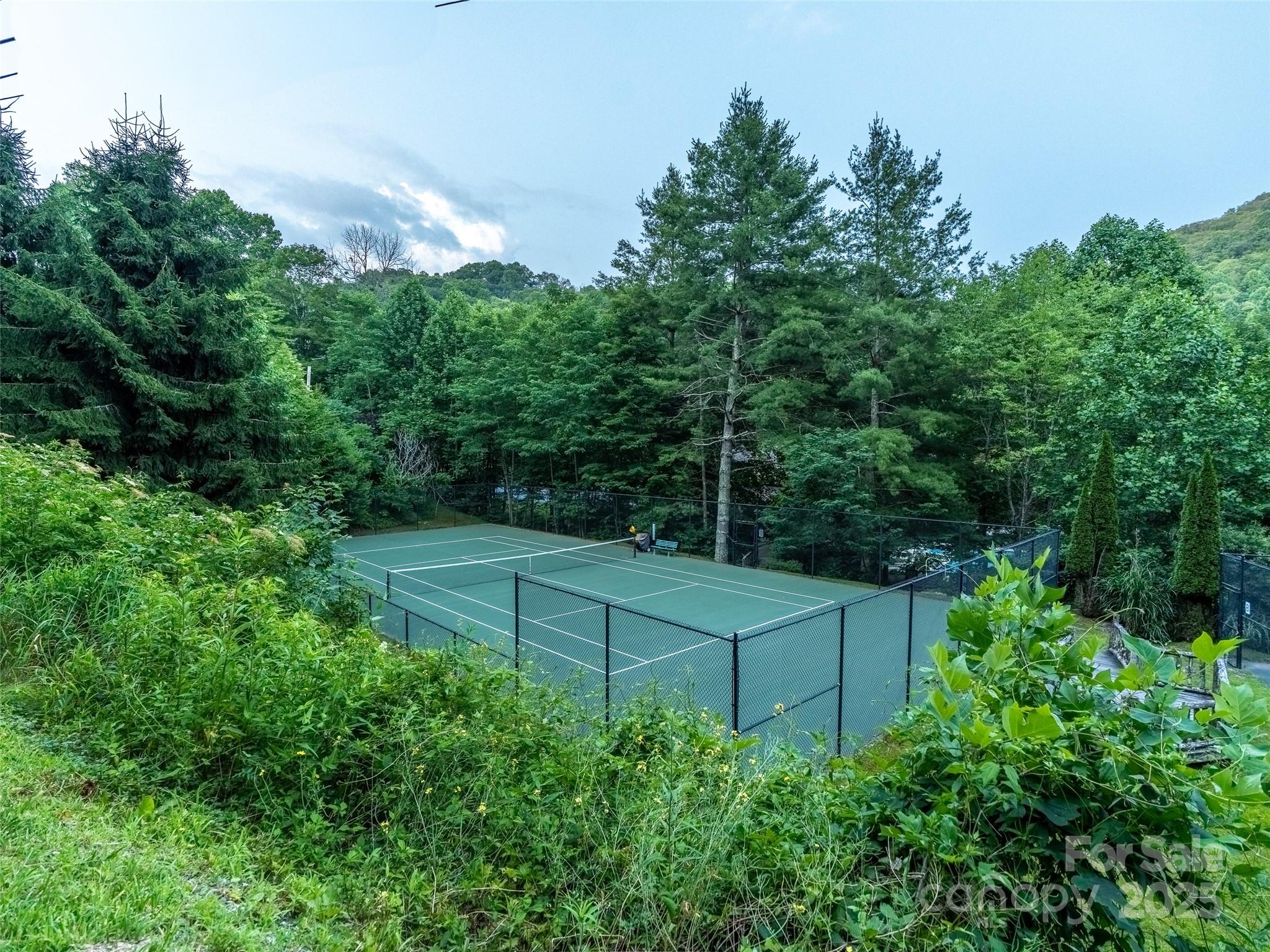 Wolf Laurel - Residential